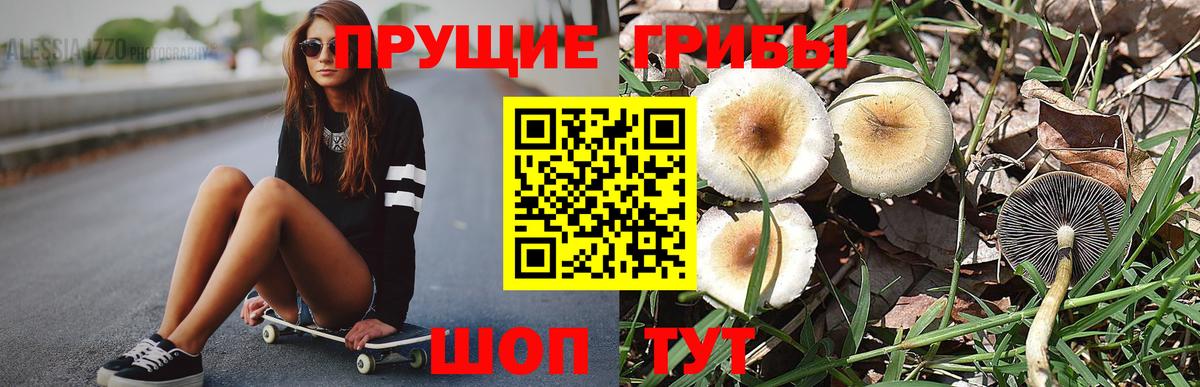Галлюциногенные грибы Psilocybine cubensis  Галлюциногенные грибы GOLDEN TEACHER  купить  сайты  Вход с VPN  Волхов 