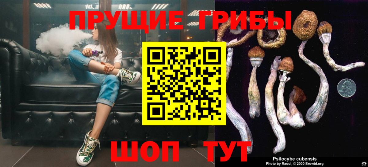 Псилоцибиновые грибы Psilocybe Волхов